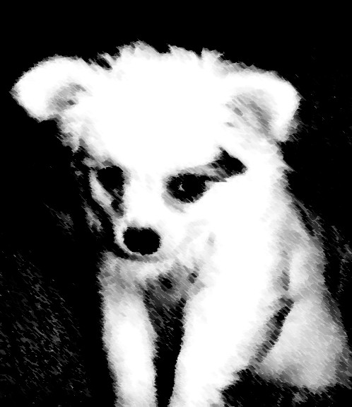 Macko